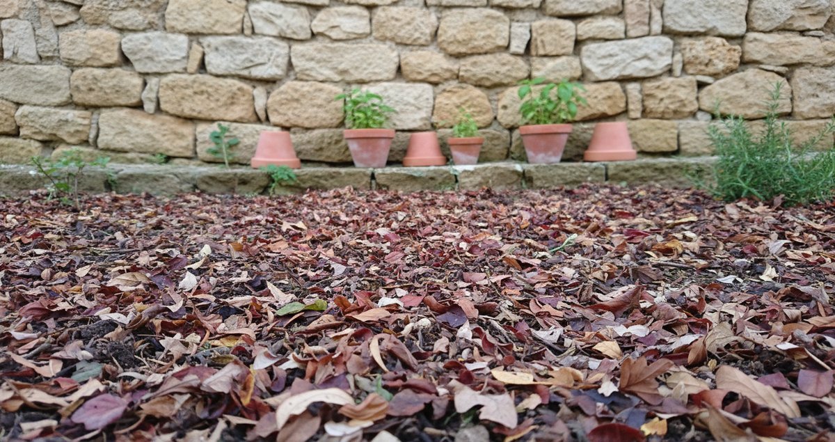 cumuli-di-foglie-autunno-danno-struttura-suolo-inverno