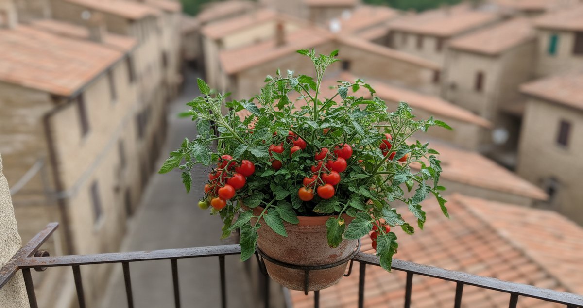 fertilizzante-fai-da-te-segreto-cucina-piante-esplodere-vita