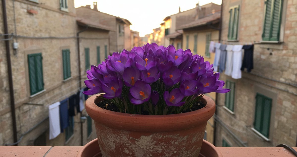 non-aspetta-la-primavera-pianta-adesso-fiori-balcone